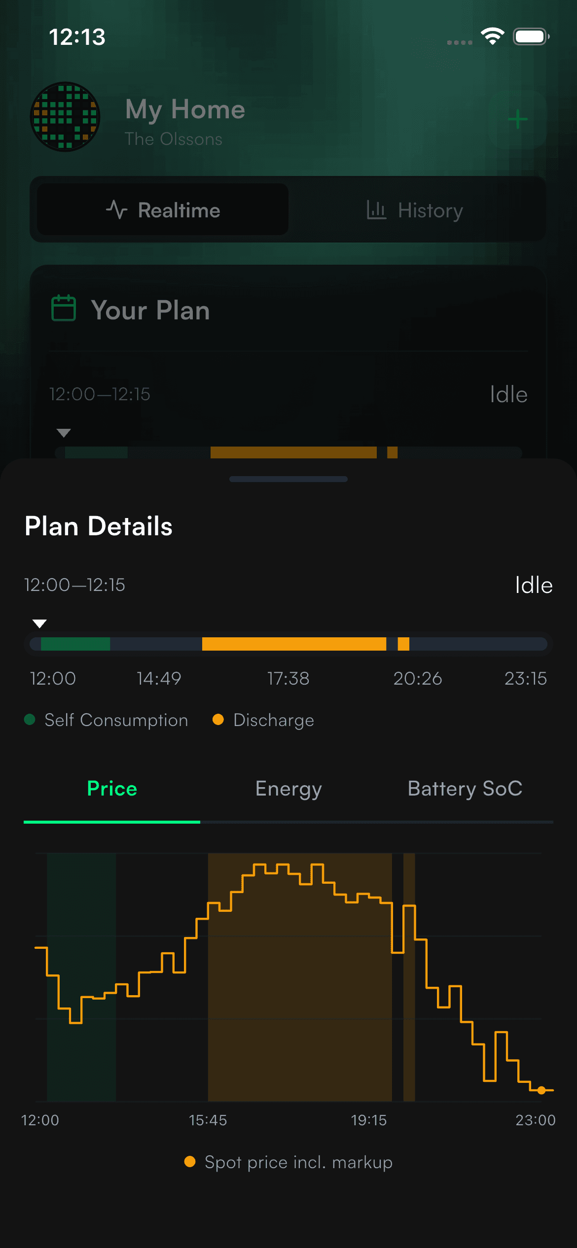 Optimiser plan view showing scheduled charge and discharge windows